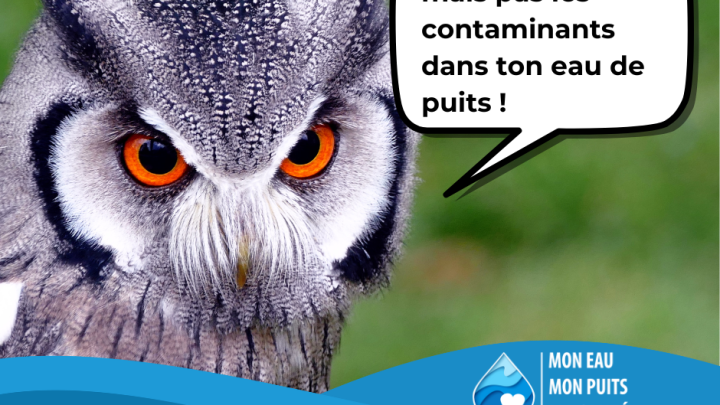 Mon eau, mon puits, ma santé