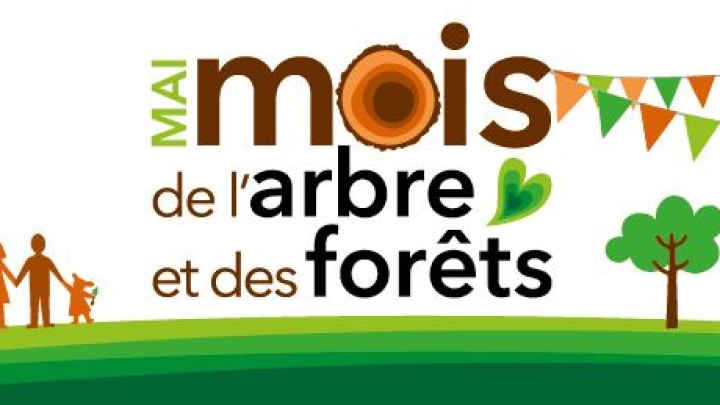Distribution de plants d'arbres, de semences et de plantes.