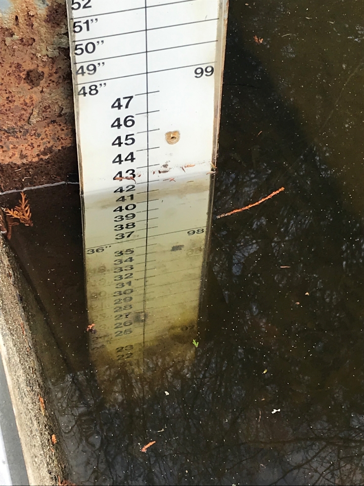 Abaissement du niveau du lac